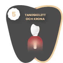Asset Tandimplantat i Malmö